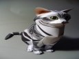 American Shorthair Cat