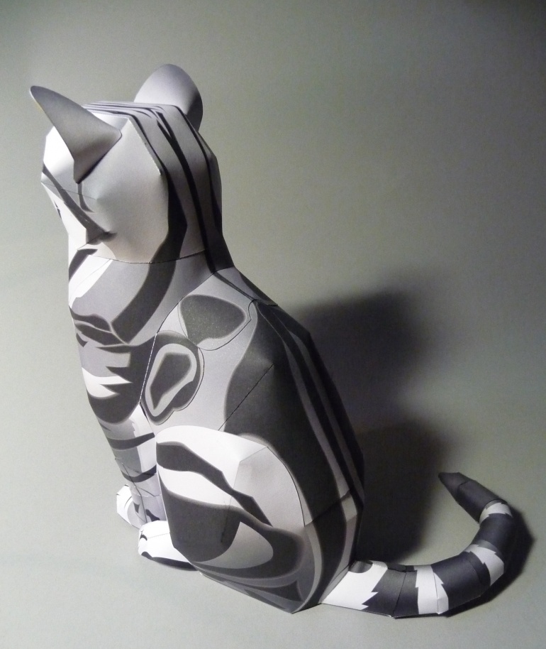 American Shorthair Cat (Plná velikost v novém okně) American Shorthair Cat