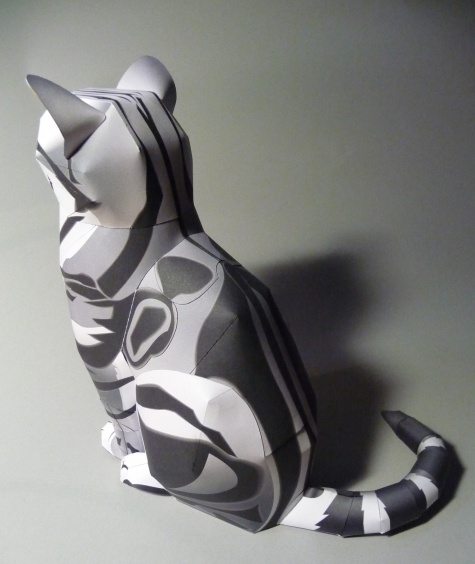 American Shorthair Cat American Shorthair Cat