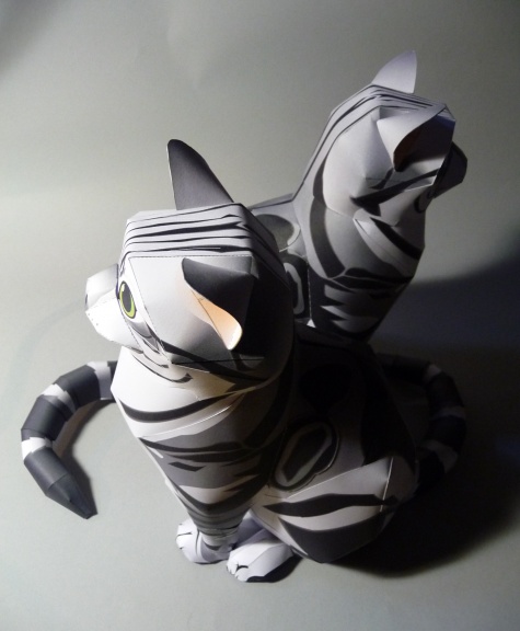 American Shorthair Cat American Shorthair Cat