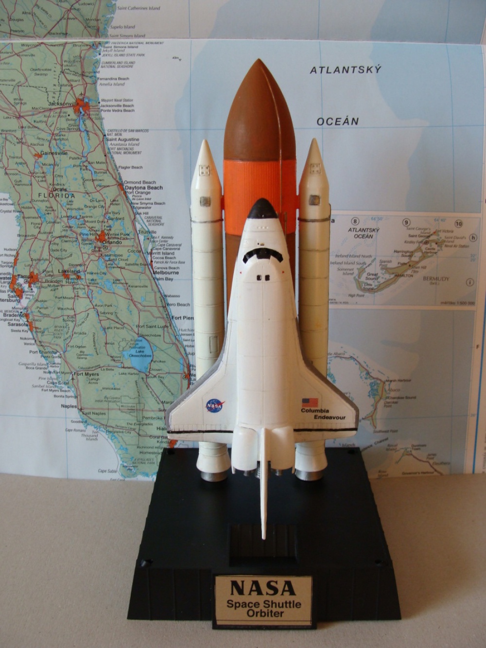 Animals in Space + space rocket