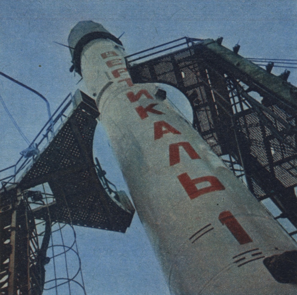 Animals in Space + space rocket (Plná velikost v novém okně) Animals in Space + space rocket