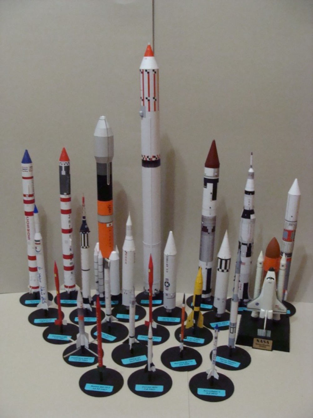 Animals in Space + space rocket