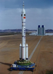 Animals in Space + space rocket
