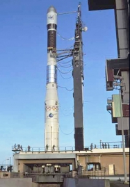 Animals in Space + space rocket