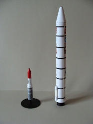 Animals in Space + space rocket