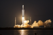 Animals in Space + space rocket
