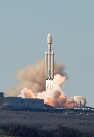 Animals in Space + space rocket