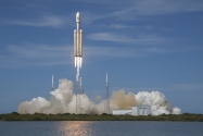 Animals in Space + space rocket