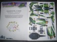 Astro Racer 19 - Scarabeus
