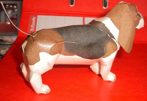 Basset