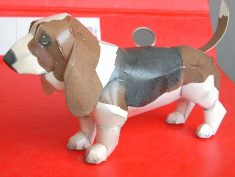 Basset (Plná velikost v novém okně) Basset