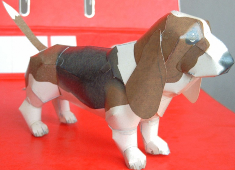 Basset