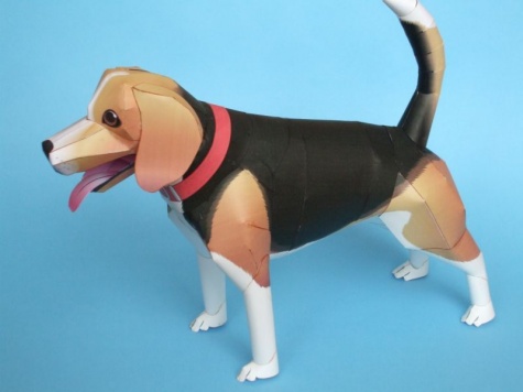 Beagle Beagle