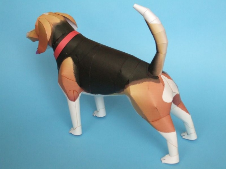 Beagle (Plná velikost v novém okně) Beagle