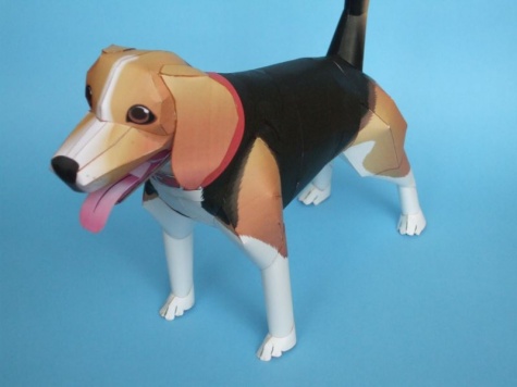 Beagle Beagle