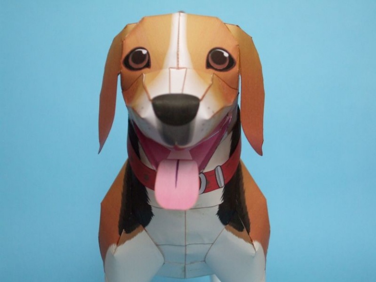 Beagle (Pln� velikost v nov�m okn�) Beagle
