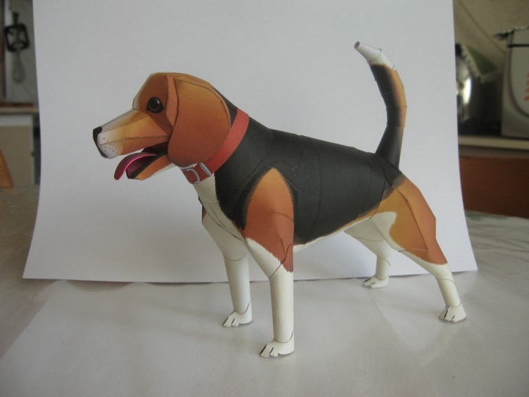 Beagle