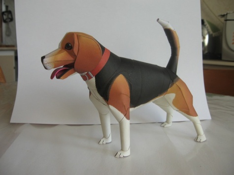 Beagle