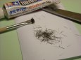 B�lorus