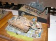 Beskyd model kit show 2009