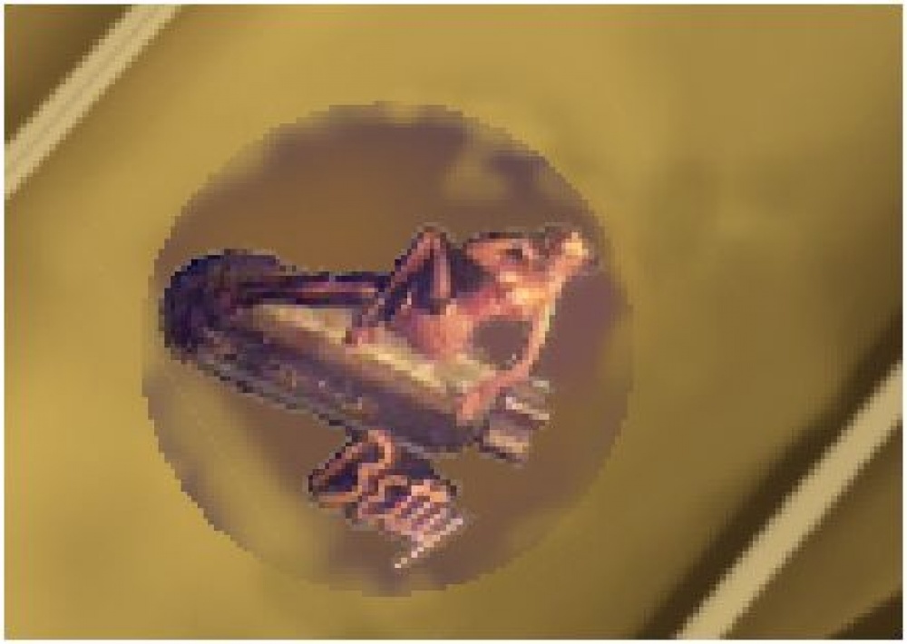 158674