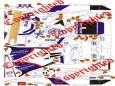 BMW Sauber F1.06