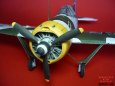 BREWSTER  B-239 BUFFALO