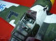 BREWSTER  B-239 BUFFALO