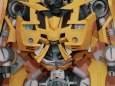 Bumblebee