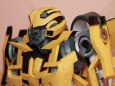 Bumblebee