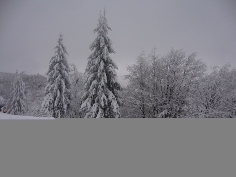 �koda Liaz �-180
