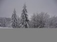 �koda Liaz �-180