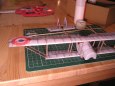 Caudron GIII