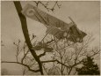 Caudron GIII