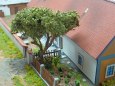 Chalupa z �eskomoravsk� vyso�iny