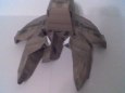 Colonial Raptor