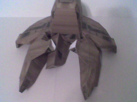 Colonial Raptor Colonial Raptor