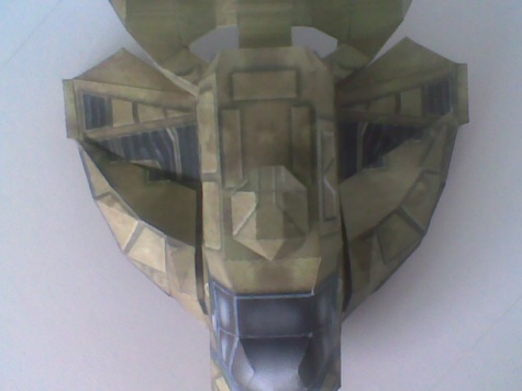Colonial Raptor Colonial Raptor