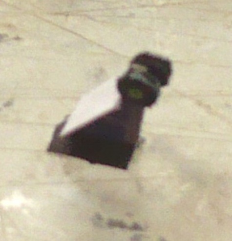 Concorde Concorde
