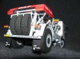 DAF 95 X1 TURBOTWIN - beta