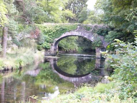 Death Bridge Death Bridge