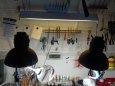 d�lna