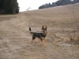 d�lna
