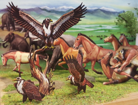 Diorama - obrázky v krabičce Diorama - obrázky v krabičce