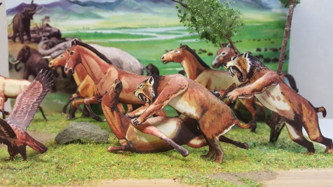 Diorama - obrázky v krabičce Diorama - obrázky v krabičce
