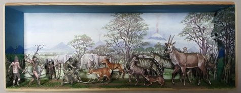 Diorama - obrázky v krabičce Diorama - obrázky v krabičce