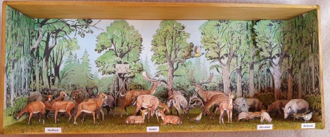Diorama - obrázky v krabičce Diorama - obrázky v krabičce