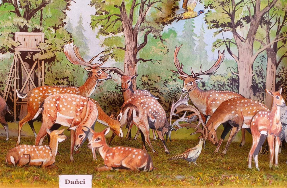 Diorama - obr�zky v krabi�ce