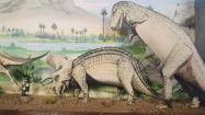 Diorama - obr�zky v krabi�ce